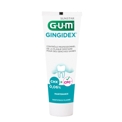 GUM DENTIFRICE GINGIDEX PREVENTION QUOTIDIENNE 75ML REF 1755